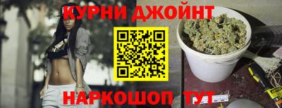 гидра Краснознаменск