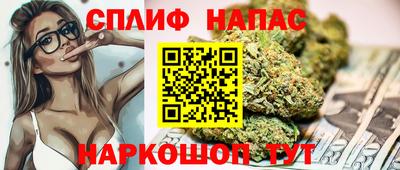 гидра Краснознаменск