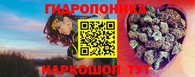 гидра Краснознаменск