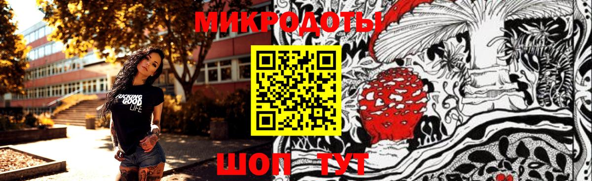 Псилоцибиновые грибы Psilocybine cubensis  Усть-Лабинск 