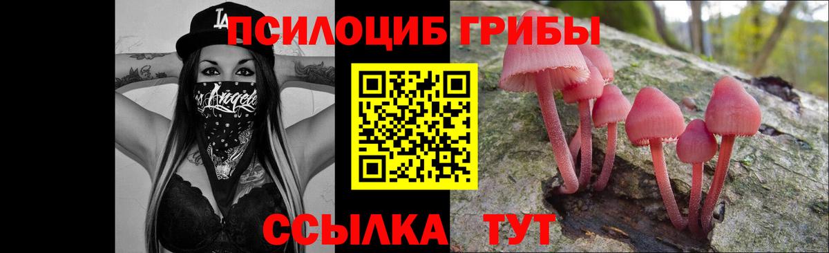 Галлюциногенные грибы GOLDEN TEACHER  Вход с VPN  Усть-Лабинск 
